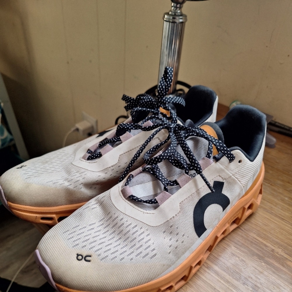Women's On Cloudmonster W 10.5